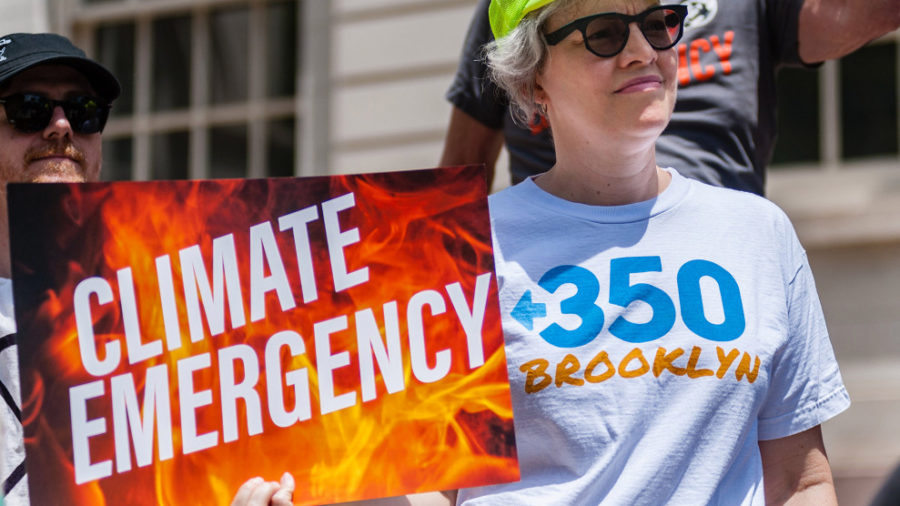 June 24, 2019 - New York, New York, United States - Member of 350Brooklyn on the steps of NY City Hall. -On June 24, 2019, climate activists and NYC Council members held a rally on the steps of City Hall, New York,  in support of Resolution 0864-2019 which, if passed, would declare a climate emergency and call for an immediate emergency mobilization to restore a safe climate.  New York City would join over 657 other countries, cities, and towns worldwide that have already declared a climate emergency. (Credit Image: © Gabriele Holtermann-Gorden/Pacific Press via ZUMA Wire)