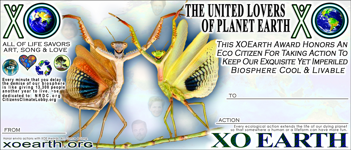 Praying Mantis XOEarth Awards :: Honor Your Eco Logical Peeps